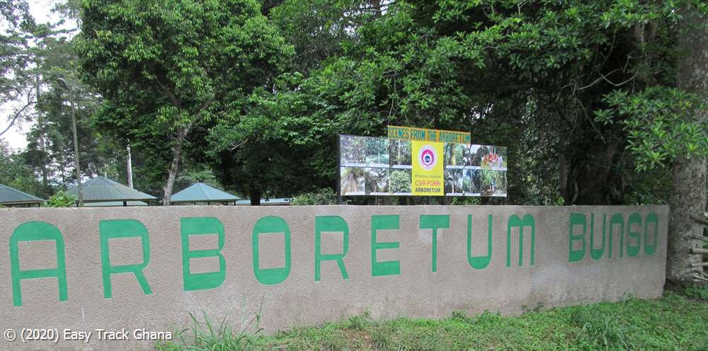 Photograph of Bunso Arboretum
